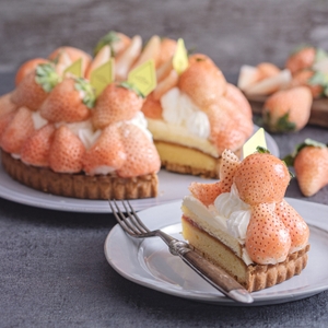 jd0Yb6W06YQHPN4ArDpl.jpg?w=940&h=940