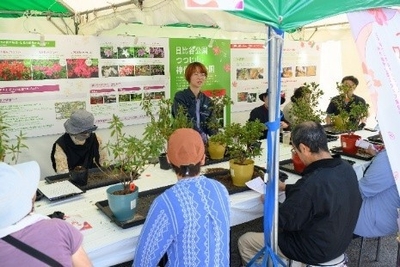 jdEwqi2IisILNXZfpXf9.jpg?w=940&h=940