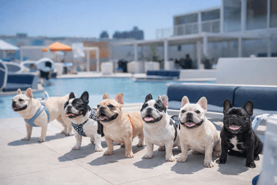 jdJy2N4XKRzArneTEUqN.png?w=940&h=940