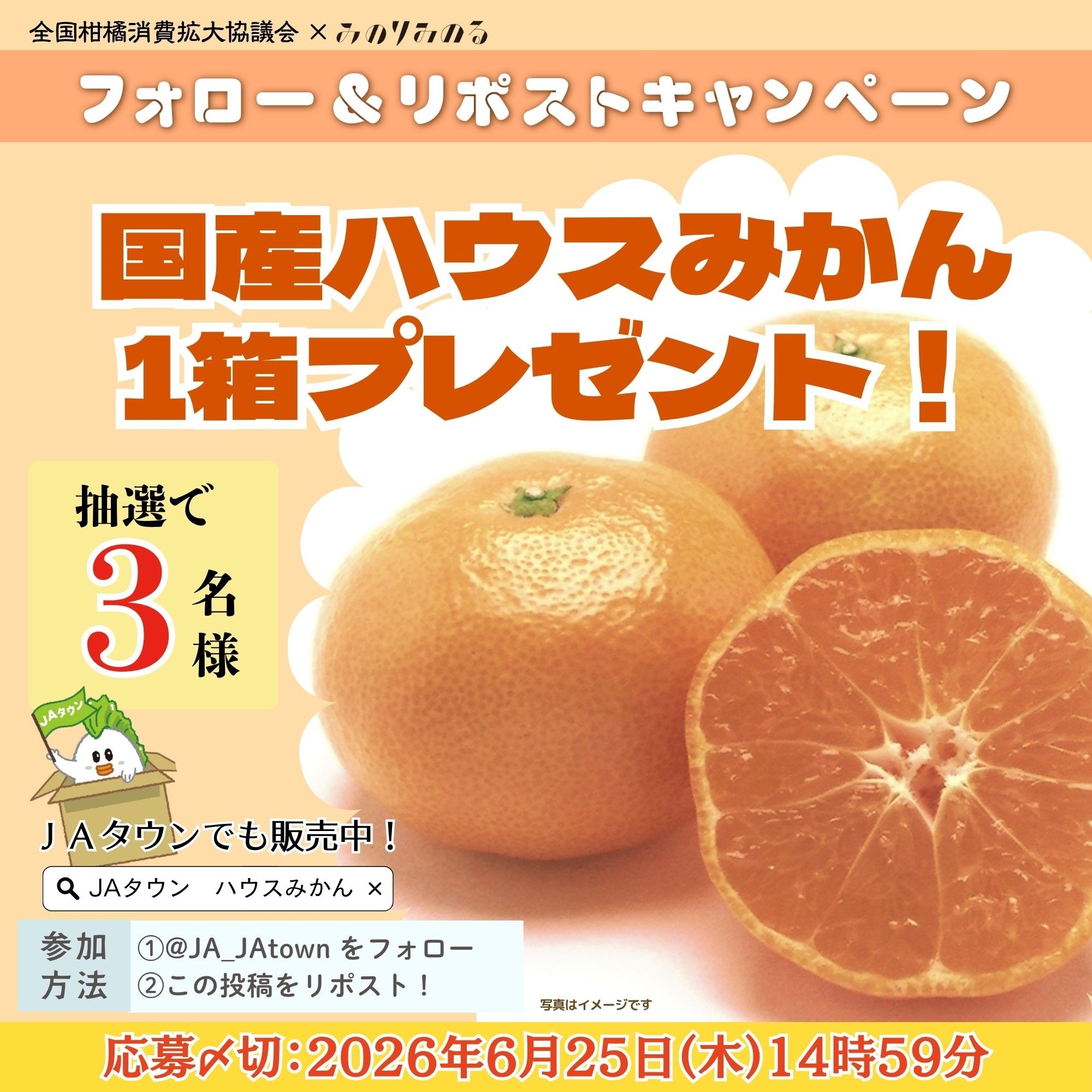 1日200gの国産くだものを食べよう！～初夏に旬を迎える濃厚な甘さと