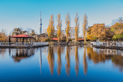 jeKTHqD57rUQFsau5UAm.png?w=940&h=940