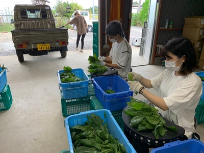 jf7Zn1ALgk2OCCn9DCCx.jpg?w=940&h=940