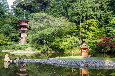 jfBaZ4k4Vasef369ziEC.jpg?w=940&h=940