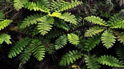 jfKD13aHsObBhYrhJzpr.jpg?w=940&h=940