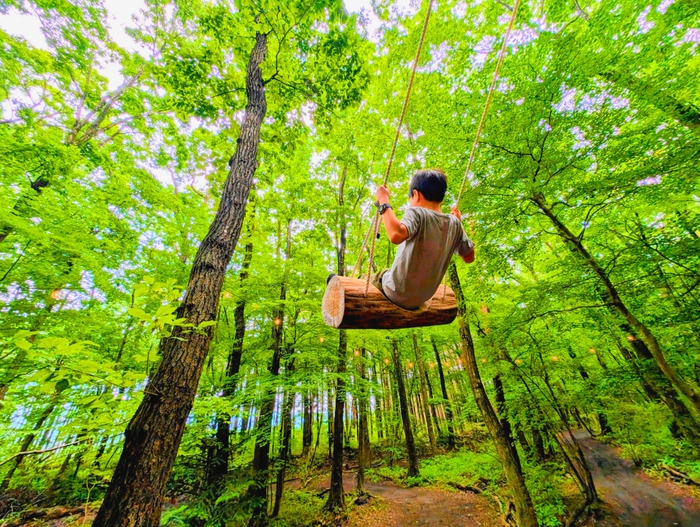 森に浮かんでる!空中ブランコあり!