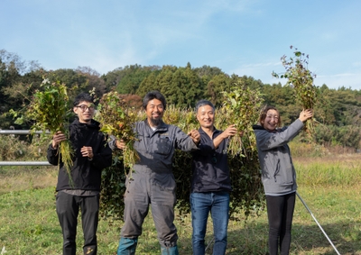 jgikLF6h7zbAyrOFAThs.jpg?w=940&h=940