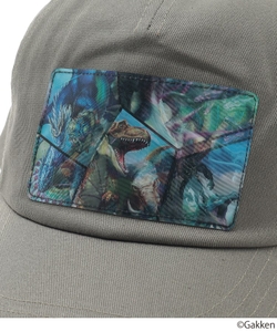 jh8lllUeylQw51x4BNkD.jpg?w=940&h=940