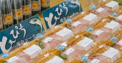 その日水揚げされた鮮魚が並びます