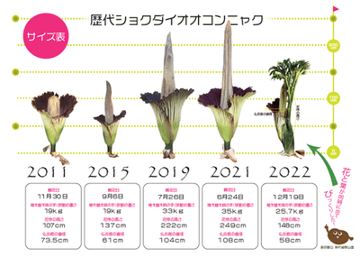 jkeAryLnbdU2FCzX92QF.png?w=940&h=940