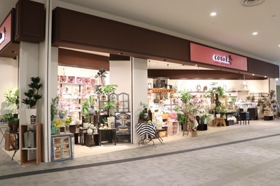 jklqTlmUDBJq4wI9tmeL.jpg?w=940&h=940