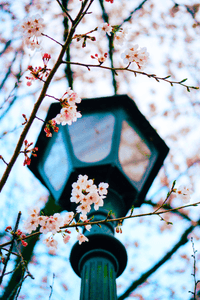 joAxpAkVAXwBZv9ubgIY.png?w=940&h=940