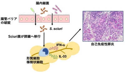 jpZgkLCNoBeZVXhlmSQT.jpg?w=940&h=940