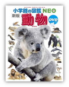 jpaVqzsLmGBjUaKeEEQF.png?w=940&h=940