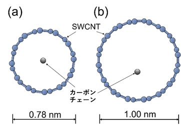 【名城大学】世界初！一次元状カーボンチェーンを最安定な状態で単層カーボンナノチューブ内に高収率合成