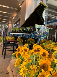 jqM4eGR93LP26f4f7e7e.jpg?w=940&h=940