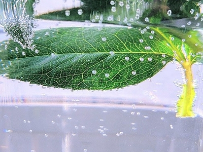 jr6Xy6bma3gdyvbzdZjI.jpg?w=940&h=940