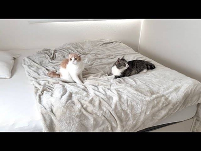 jr8s7CIZpPmXujGVoY86.jpg?w=940&h=940