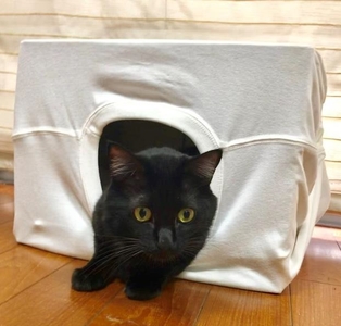 jrgSpo4Hg3uwk8berfTw.jpg?w=940&h=940