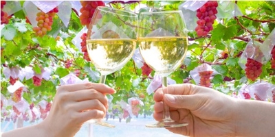 jsOfJSak4Kieq3FbUpea.jpg?w=940&h=940