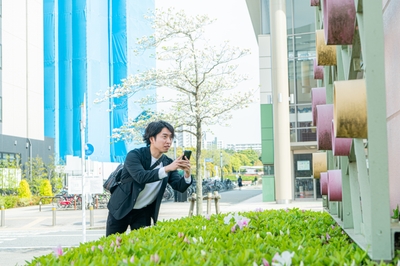 jsjRqXOyLNHKxZMfboqd.jpg?w=940&h=940