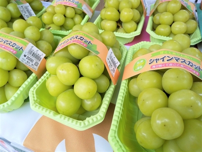 jsnxzo19BvQIY36Cd4FD.jpg?w=940&h=940