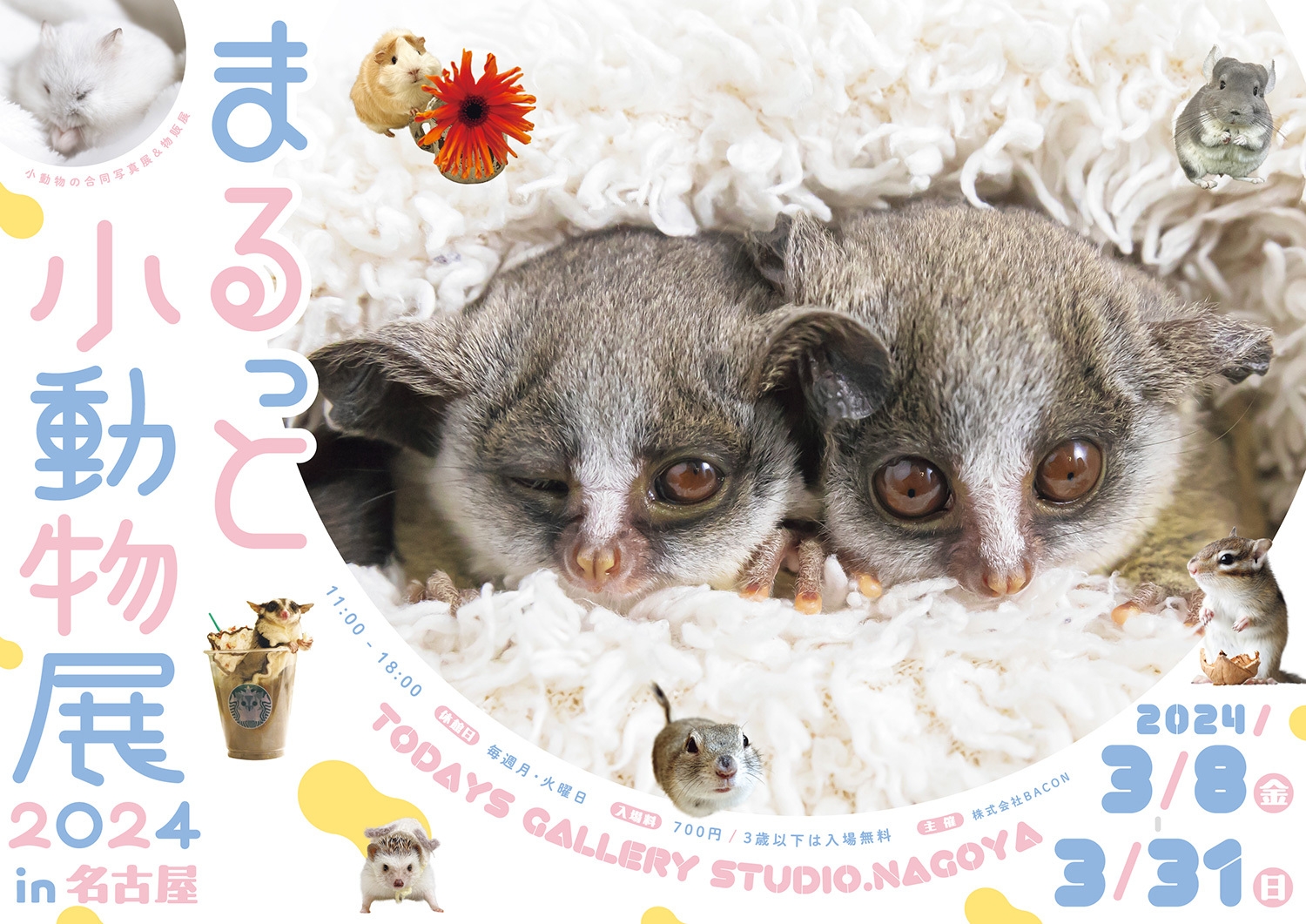 キービジュアル(横)