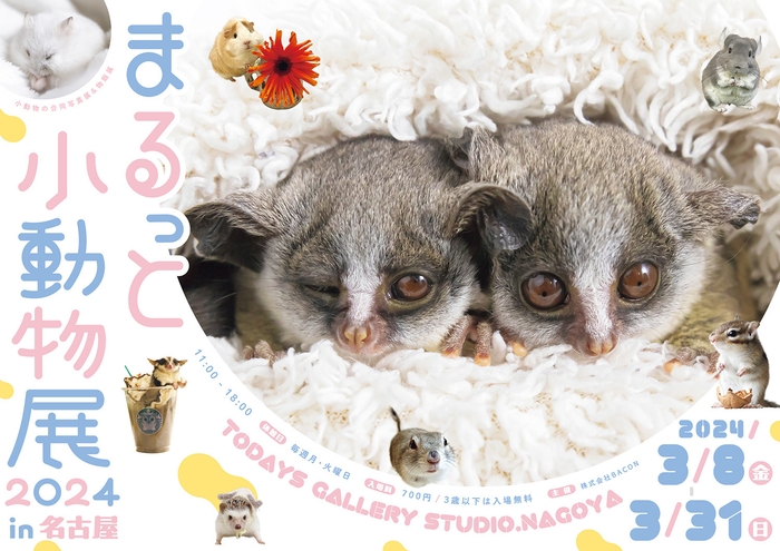 キービジュアル(横)