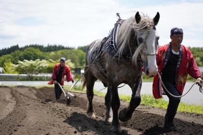 jtCjBnBePfNZyyW1MGZY.jpg?w=940&h=940