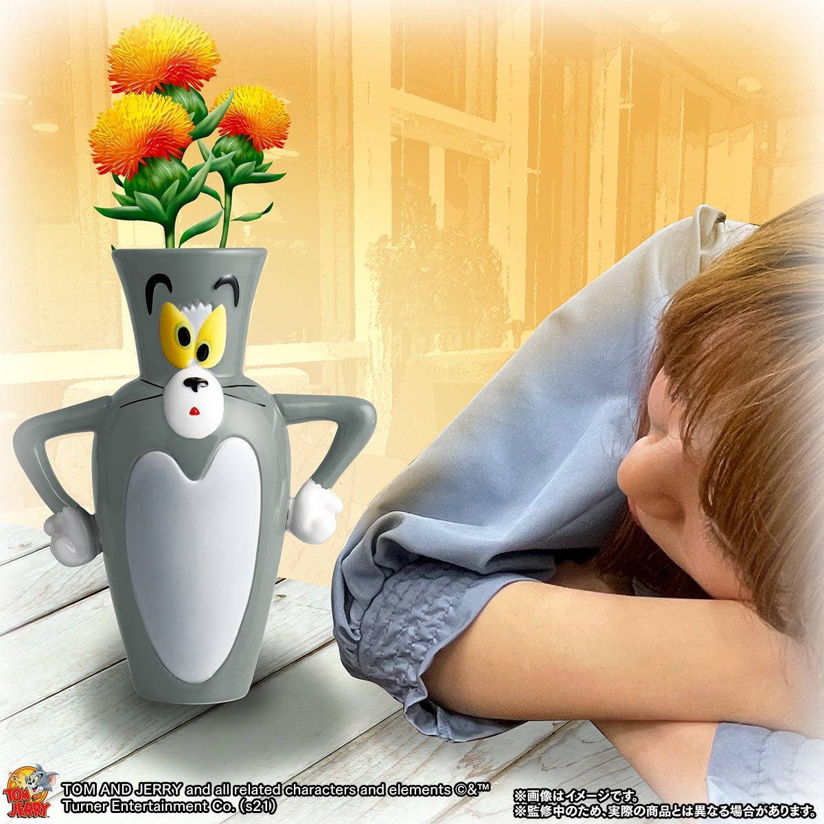 使用イメージ(3)