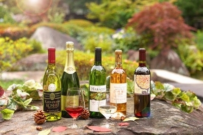 jvhwFJR5jJGFROjdHf47.jpg?w=940&h=940