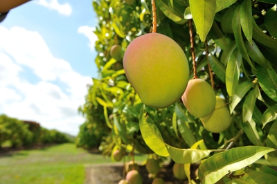 jw4pLU8ayrXsv3WNprml.jpg?w=940&h=940