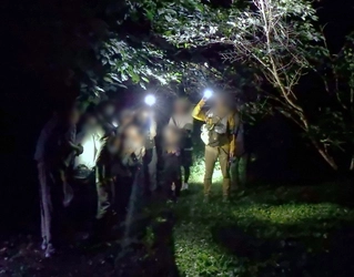 闇にうごめく昆虫を見つけよう！「夜の昆虫観察会　サマーナイトわくわく自然観察会」小山内裏公園で8月23日(土)開催