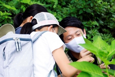 jwOmV87pXsaUD5sr6A6F.jpg?w=940&h=940