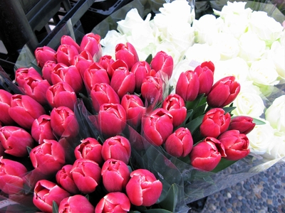 jwfp4xMzJLm1V6x1u17u.jpg?w=940&h=940