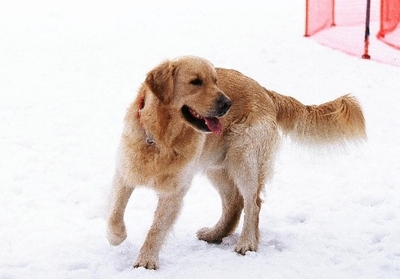 jym5JfelkJGQtS3S8o3G.jpg?w=940&h=940