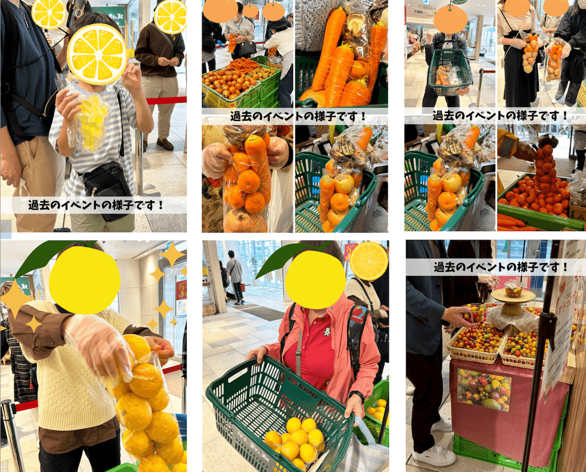 お野菜やフルーツの詰め放題イベントを開催中!