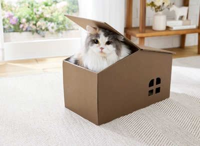 k0OtiRkfbUw8NUzhZgwE.jpg?w=940&h=940