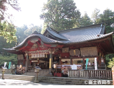 k1T6iAbtO0hibkGR78J0.jpg?w=940&h=940