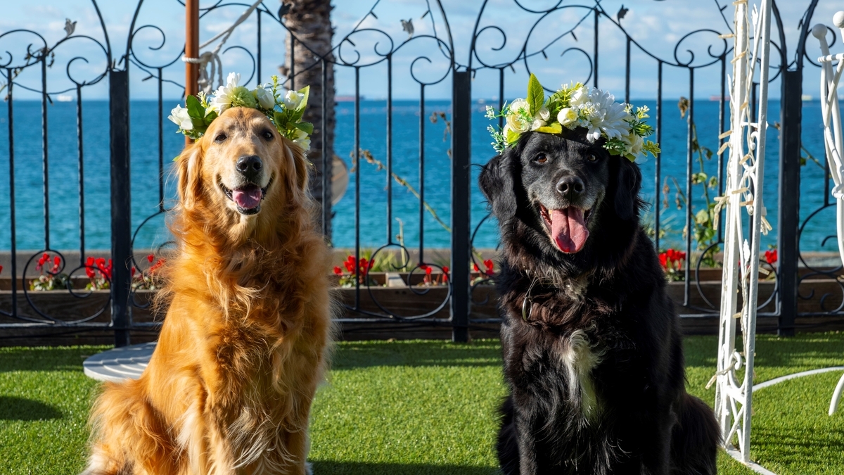 淡路島西海岸 「ミエレ ザ ガーデン」 春の淡路島旅は愛犬と一緒に! わんちゃんへ贈り物をプレゼント『春旅キャンペーン』を4月10日よりスタート!