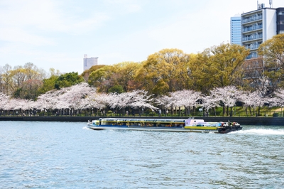 k3ms8fniA07g6tkIrLoo.jpg?w=940&h=940