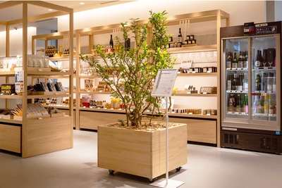 k4ZPdG47zPf5a5XwGu1r.jpg?w=940&h=940