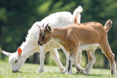 k4pPwmfr5l2IFy4uAoZp.jpg?w=940&h=940