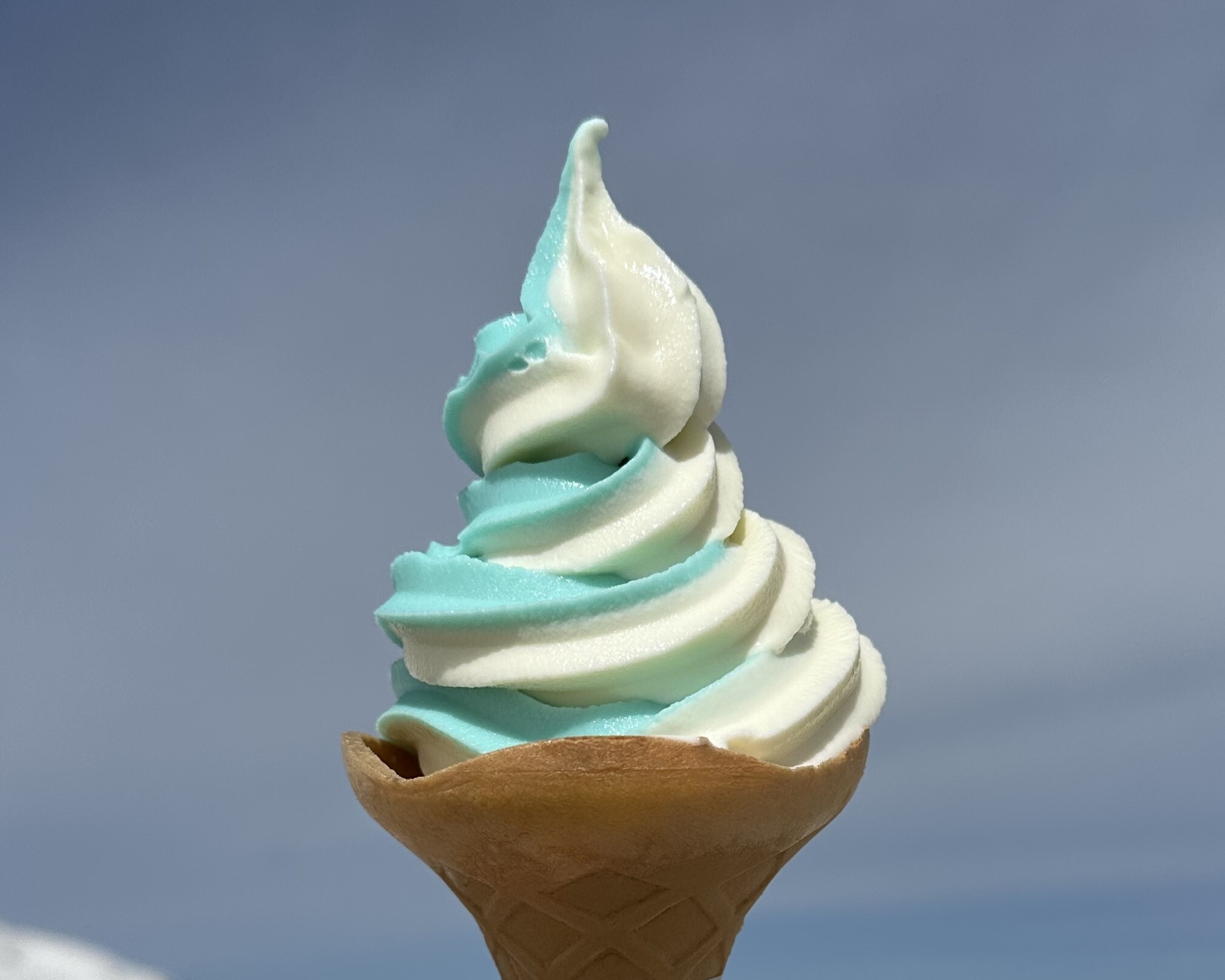 たてくろグルメフェア 立山氷河ミックスソフト