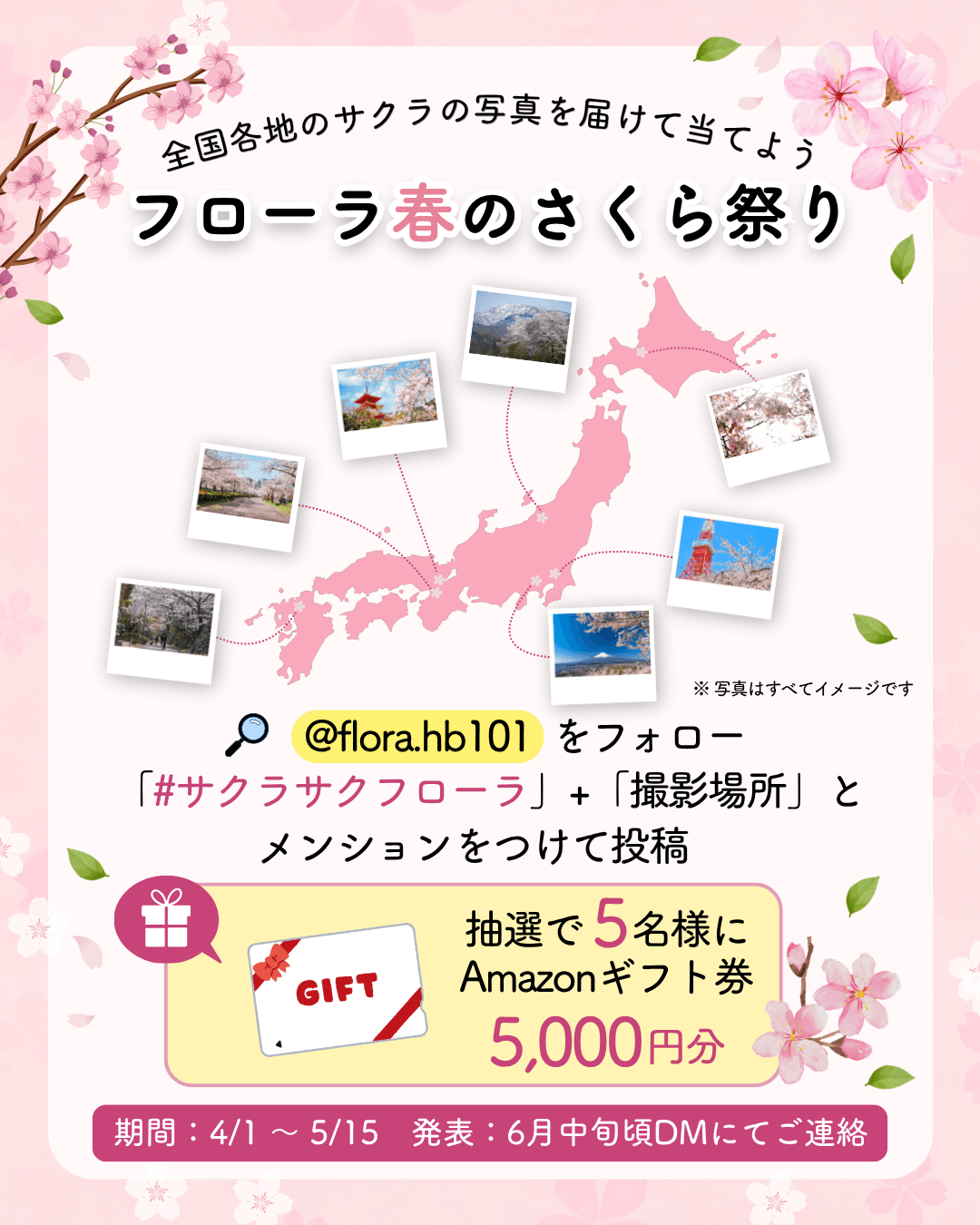 フローラ春のさくら祭り」Instagramフォトキャンペーン ～スマホで気軽