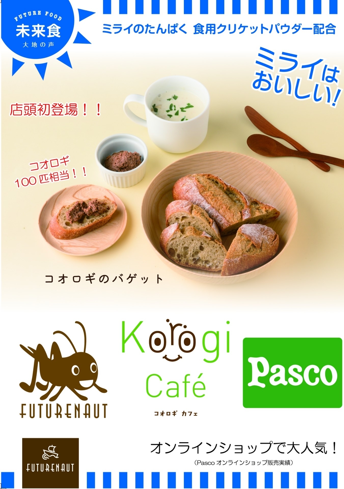 数量限定!コオロギのバケットも販売します!