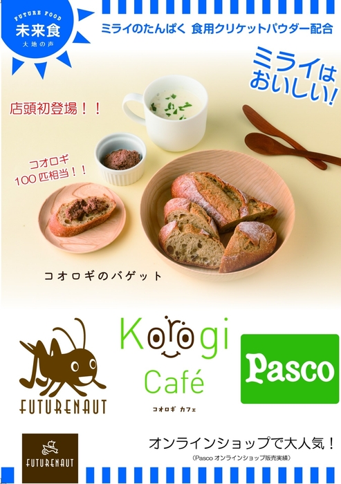 数量限定!コオロギのバケットも販売します!