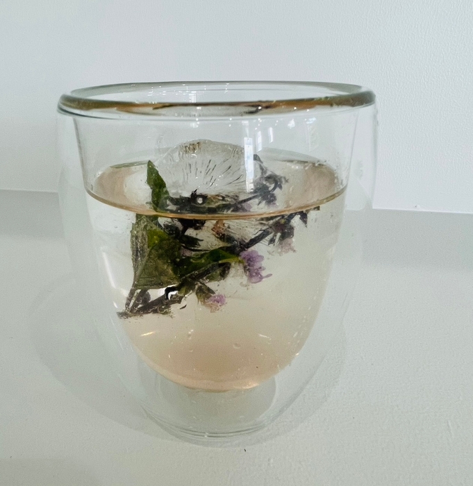 アイスホーリーバジルコーディアル