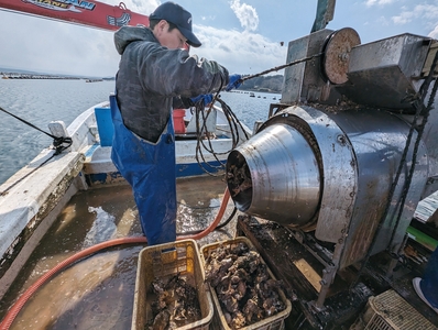 k8HFZlo0LffB17YtcxN3.jpg?w=940&h=940