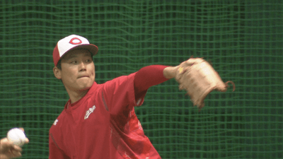 k9t57z9lAa0dzAundJHN.png?w=940&h=940