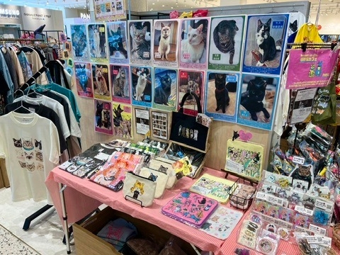 ねこMARKET「保護猫カフェneu。」
